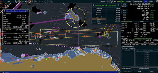 Navigating the Seas Safely: The Importance of ECDIS Courses